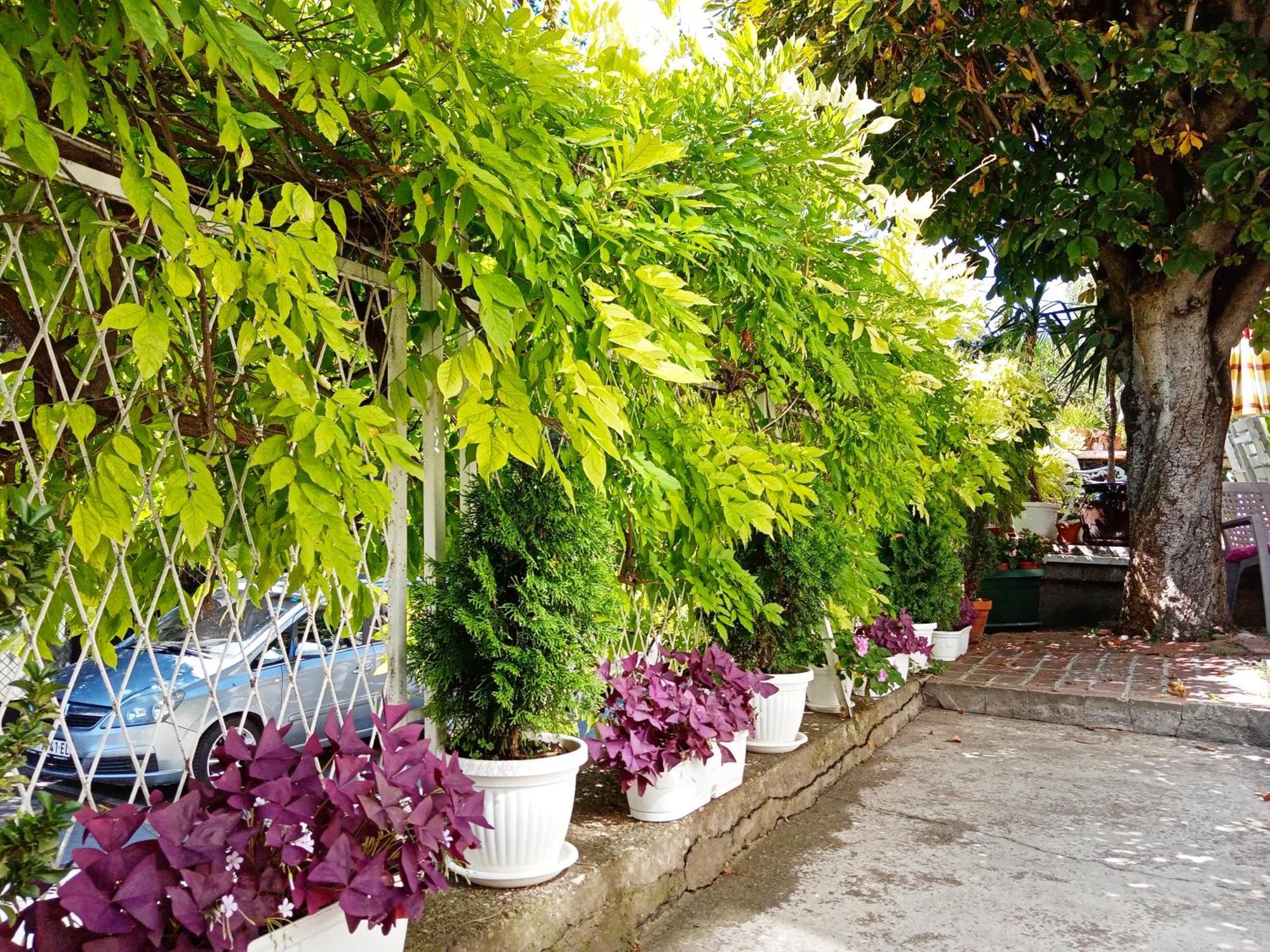 Belgrade Apartment Happy Garden Exterior foto